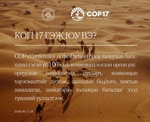 Цөлжилттэй тэмцэх тухай Нэгдсэн Үндэстний Байгууллагын Конвенцын Талуудын бага хурал